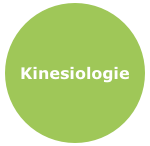 Kinesiologie